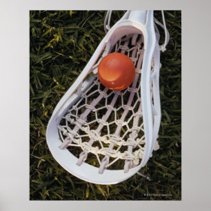 Lacrosse Stick and Ball Poster