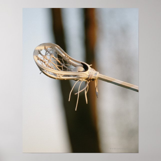 Lacrosse Stick Poster (Front)