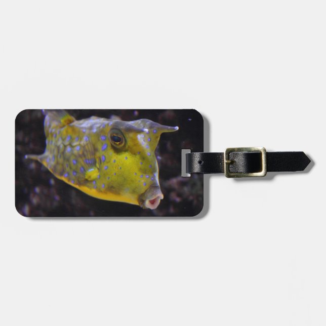 Lactoria cornuta luggage tag (Front Horizontal)
