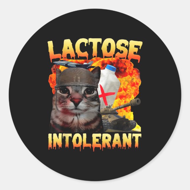 Lactose Intolerant Silly Cat Meme Funny Saying Cat Classic Round Sticker (Front)