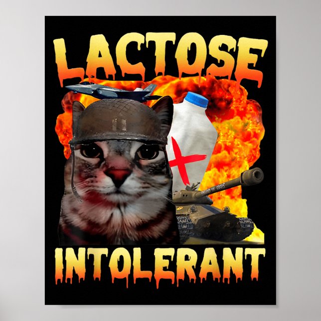 Lactose Intolerant Silly Cat Meme Funny Saying Cat Poster (Front)