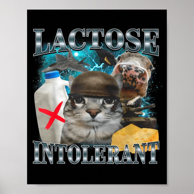 Lactose Intolerant Silly Cat Meme Funny Saying Cat Poster (Front)
