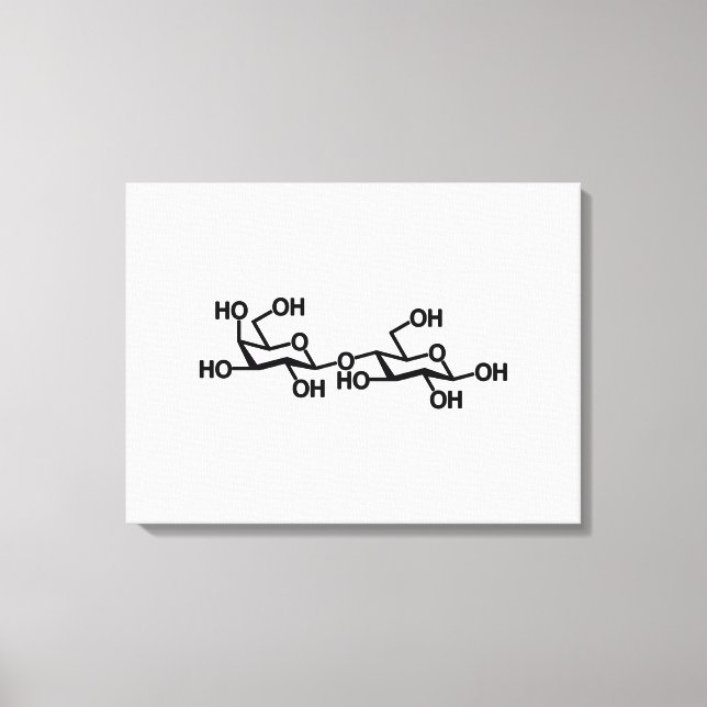 Lactose Milk Structure Canvas Print (Front)