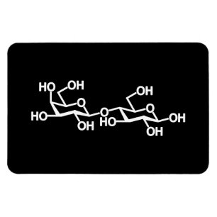 Lactose Milk Structure Magnet