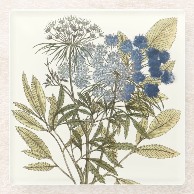 Lacy Leaves - Flowers and Greenery Glass Coaster (Front)