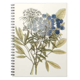 Lacy Leaves - Flowers and Greenery Notebook