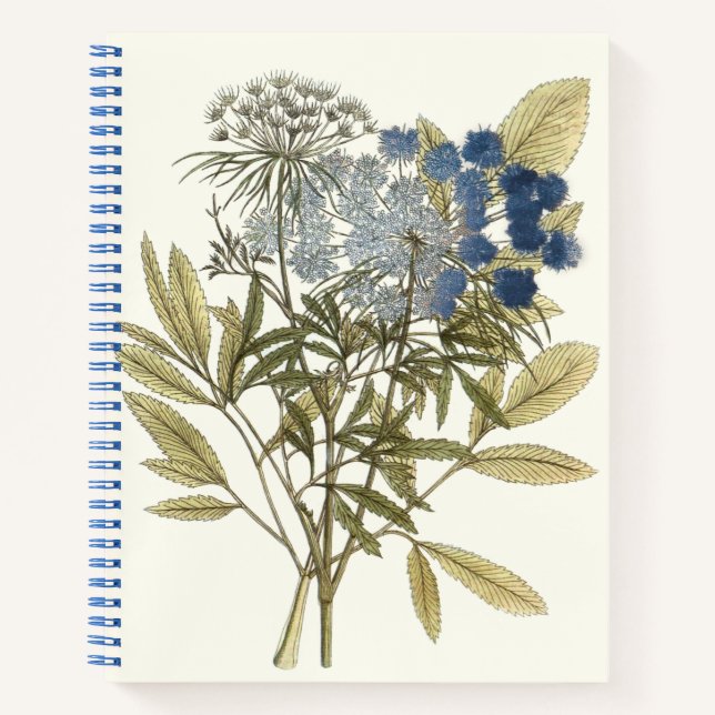 Lacy Leaves - Flowers and Greenery Notebook (Front)