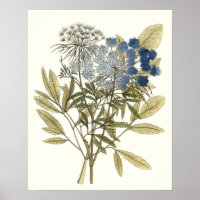 Lacy Leaves - Flowers and Greenery