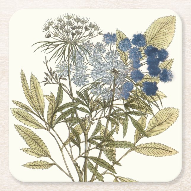 Lacy Leaves - Flowers and Greenery Square Paper Coaster (Front)