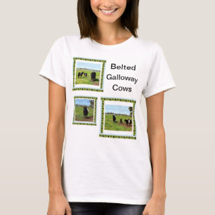 Ladies Belted Galloway Cows T-shirt, T-Shirt