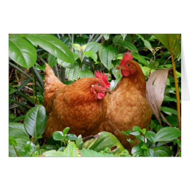 Ladies in Waiting (Front Horizontal)