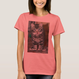 Ladies Kitten T T-Shirt