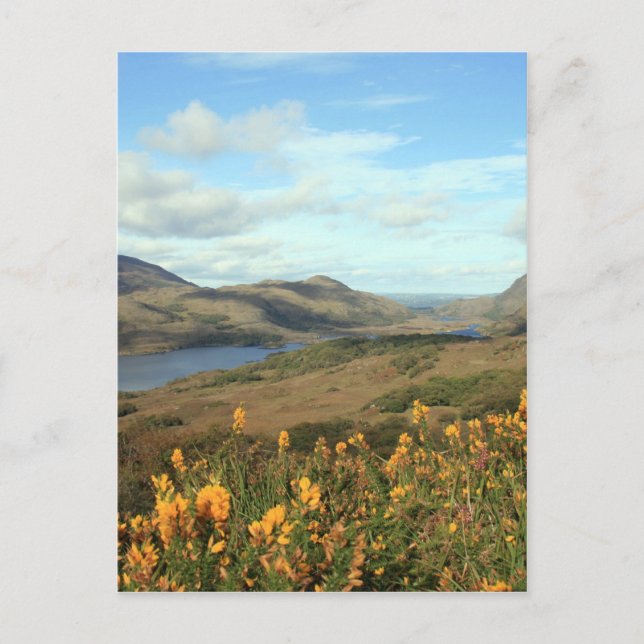 Ladies View Postcard (Front)