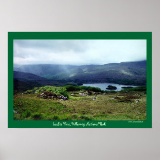 Ladies View (Small Version) Poster