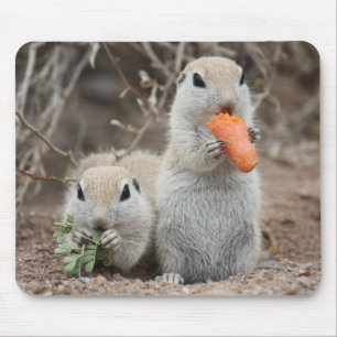 Ladies Who Lunch Mousepad