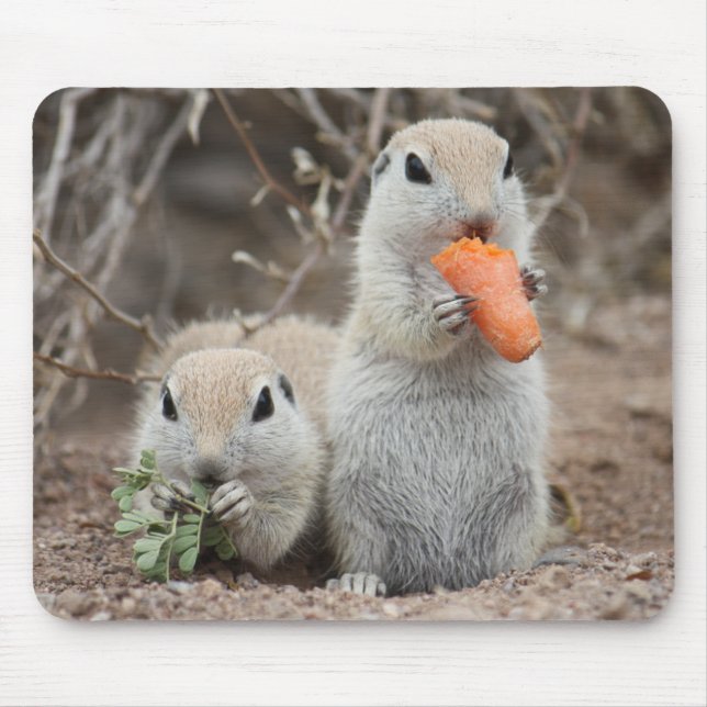 Ladies Who Lunch Mousepad (Front)