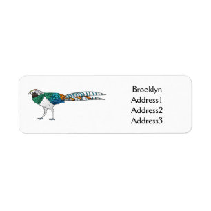 Lady amherst's pheasant bird cartoon illustration