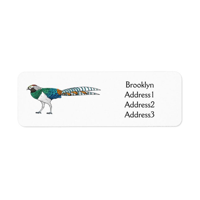 Lady amherst's pheasant bird cartoon illustration  (Front)