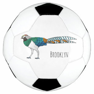 Lady amherst's pheasant bird cartoon illustration football