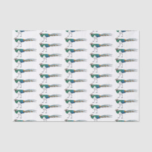Lady amherst's pheasant bird cartoon illustration  tissue paper