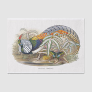 Lady Amherst's Pheasant Decoupage Tissue Paper