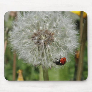 lady beetle - ladybird on dandelion mouse mat