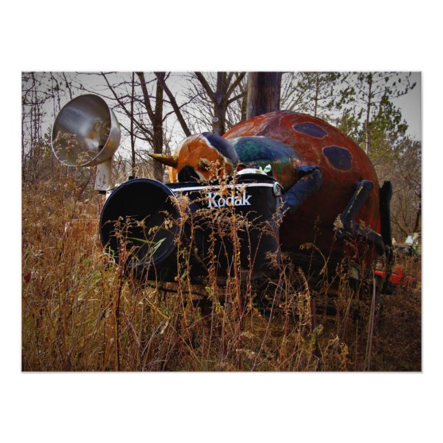 "Lady Behind the Camera" Photo Print (Front)