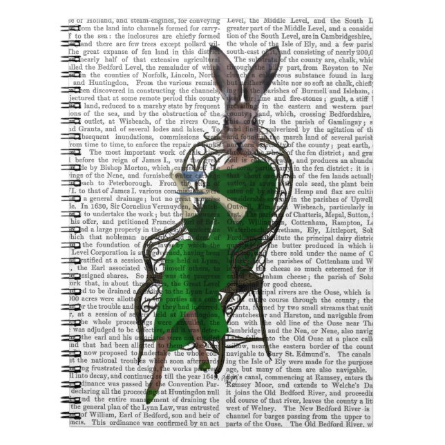 Lady Bella Rabbit Taking Tea 2 Notebook (Front)