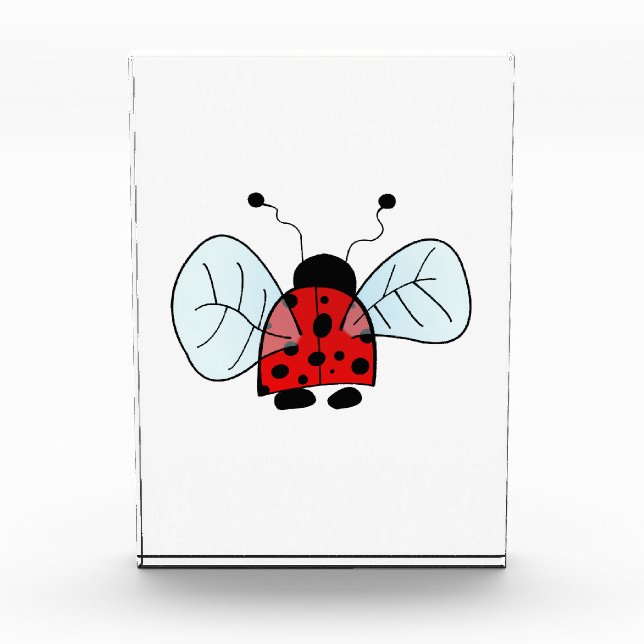 Lady bird photo block (Front)