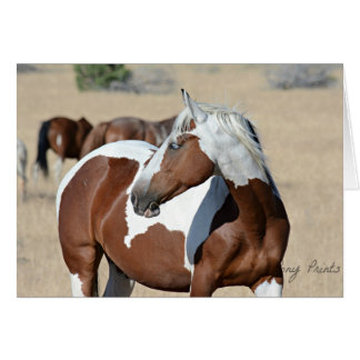 Lady Braveheart Card