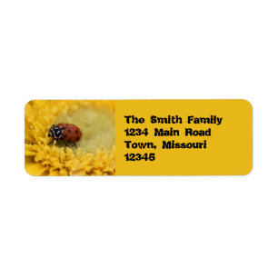 Lady bug