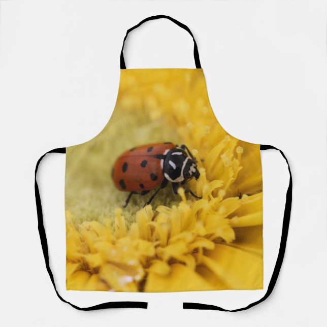 Lady bug apron (Front)