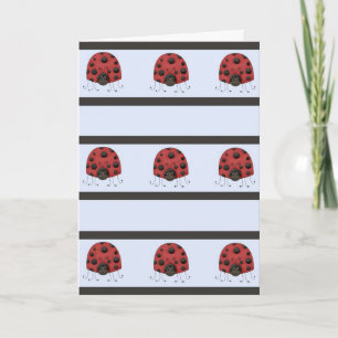 Lady Bug Birthday Card