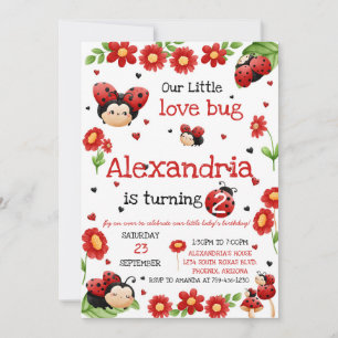 Lady Bug Birthday Invitation