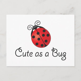 Lady Bug - Cute as a Bug Postcard
