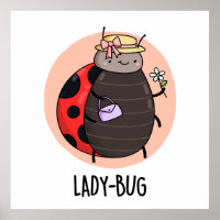 Lady Bug Funny Insect Ladybird Pun