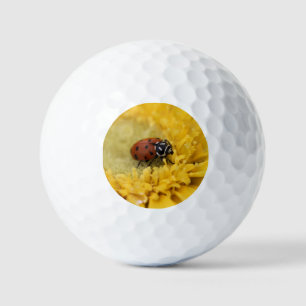 Lady bug golf balls