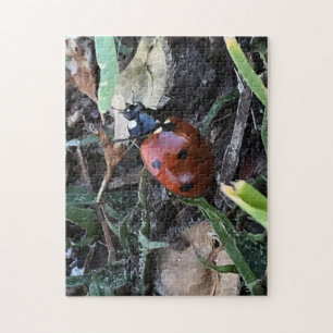 Lady Bug Jigsaw Puzzle