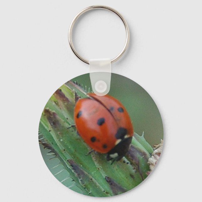 Lady Bug Key Ring (Front)