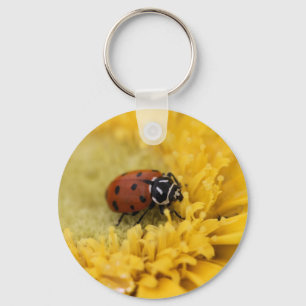 Lady bug key ring