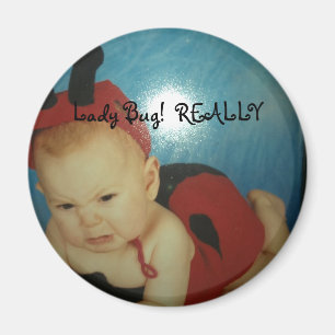 Lady Bug Magnet