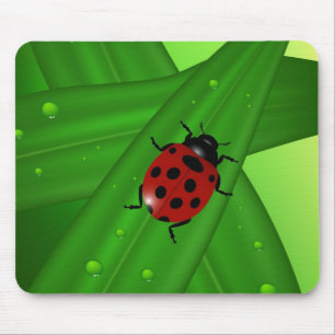 Lady bug mouse mat
