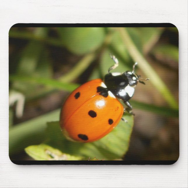 Lady Bug Mouse Pad (Front)