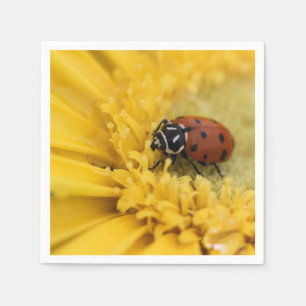 Lady bug napkin