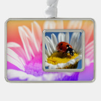 Lady bug on daisy Mug Mouse Pad Poster Christmas O
