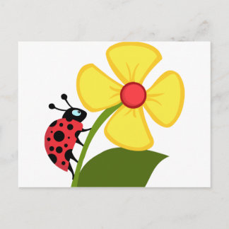 Lady Bug on Yellow Flower Postcard