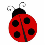 Lady Bug Standing Photo Sculpture<br><div class="desc">This photo sculpture is of a lady bub..  Made of acrylic with a black stand,  it is a great conversation piece. Final size is approximate and depends on cut-out size of image.</div>
