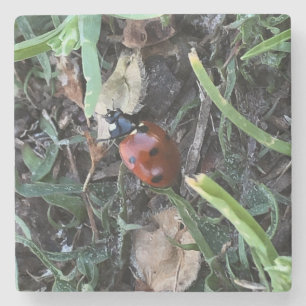 Lady Bug Stone Coaster