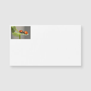 Lady Bugs Business Cards