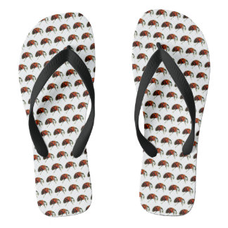 Lady Bugs  Flip Flops